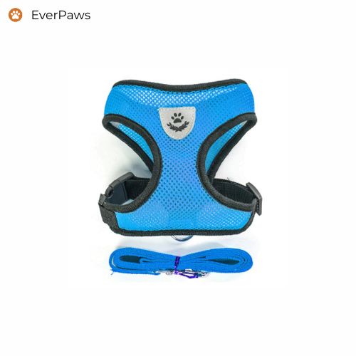 Blue breathable mesh dog harness with matching leash — lightweight, easy on/off, sizes S–XL.