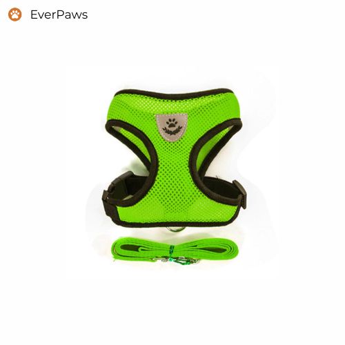 Green breathable mesh dog harness with matching leash — lightweight, no-chafe edges, sizes S–XL.