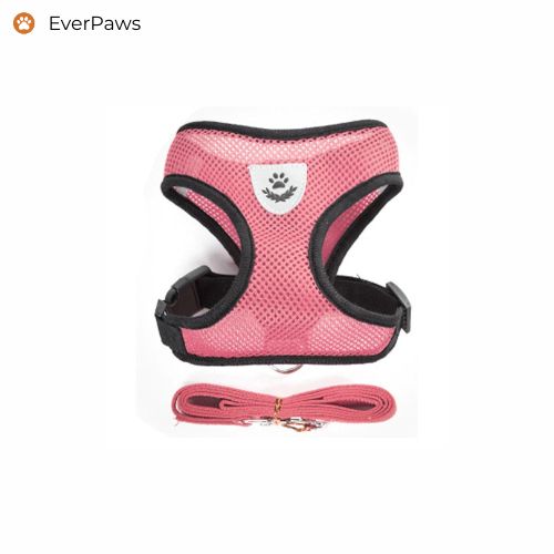 Pink breathable mesh dog harness with matching leash — front view, EverPaws paw badge, sizes S–XL.