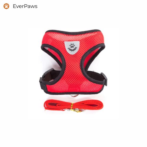 Red breathable mesh dog harness with matching leash — secure everyday walking set, sizes S–XL.