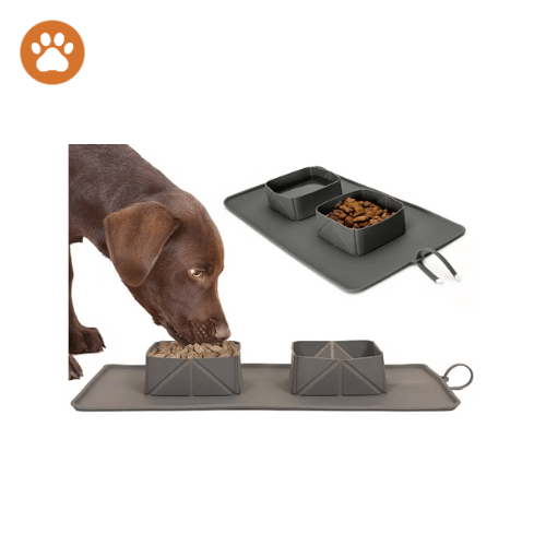 Portable Pet Bowl – Double Silicone Food & Water Dish