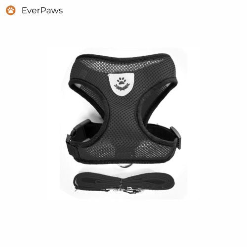 Black breathable mesh dog harness with matching leash — adjustable fit for small to XL breeds.