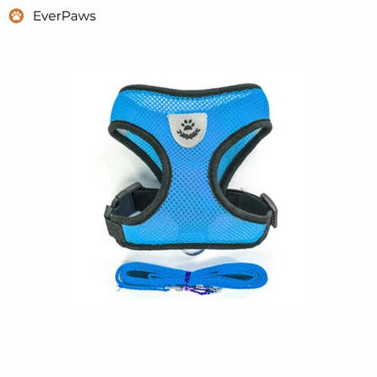 Blue breathable mesh dog harness with matching leash — lightweight, easy on/off, sizes S–XL.