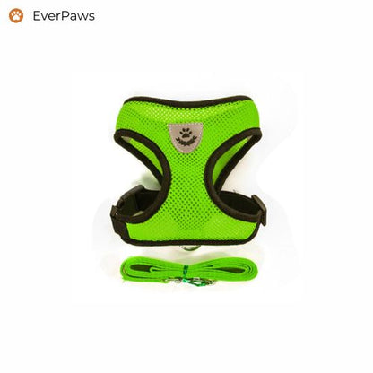 Green breathable mesh dog harness with matching leash — lightweight, no-chafe edges, sizes S–XL.