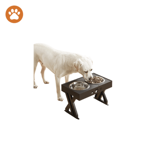 Elevate & Dine Dual Dog Bowl Stand